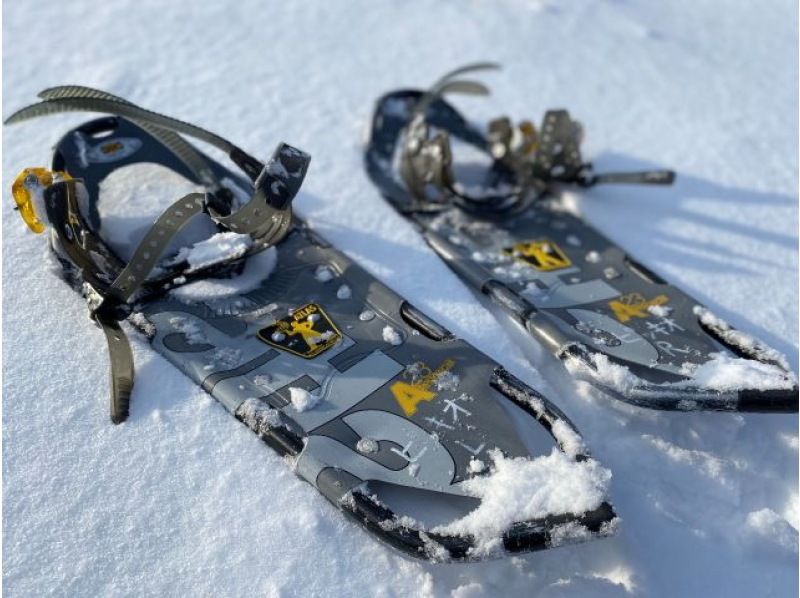 [Hokkaido, Shiretoko] Primeval forest snowshoe tour. Snowshoeing through the World Natural Heritage Site in midwinter and wildlife watching tour (free rental of skiwear, etc.)の紹介画像