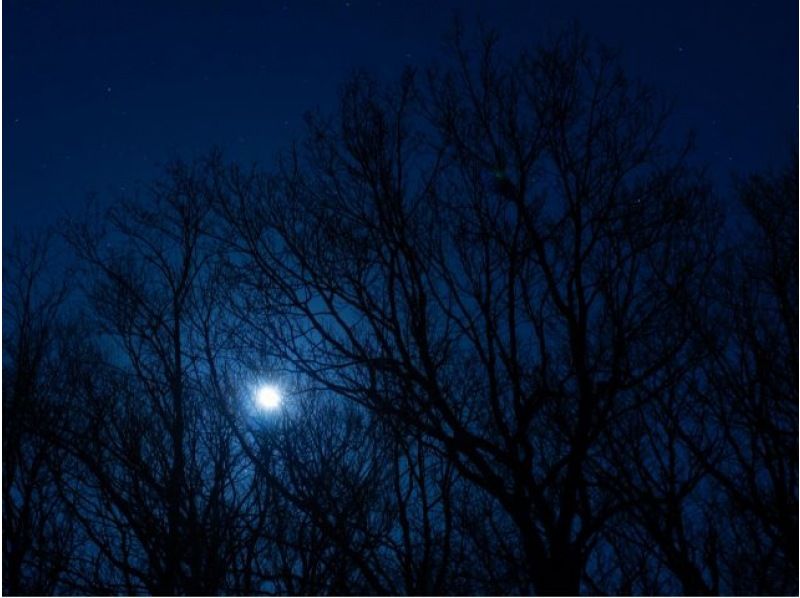 [Hokkaido, Shiretoko] Shiretoko Night Forest Snowshoe Hike Walk through the silent forest at night (free rental of ski wear, etc.)の紹介画像