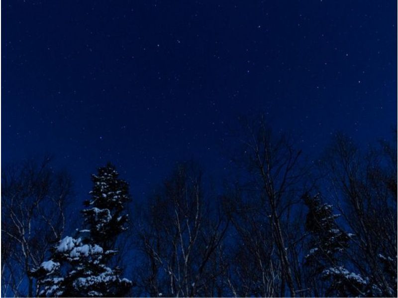 [Hokkaido, Shiretoko] Shiretoko Night Forest Snowshoe Hike Walk through the silent forest at night (free rental of ski wear, etc.)の紹介画像