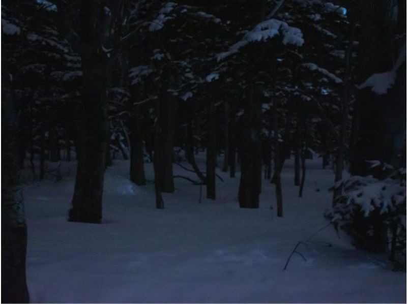 [Hokkaido, Shiretoko] Shiretoko Night Forest Snowshoe Hike Walk through the silent forest at night (free rental of ski wear, etc.)の紹介画像