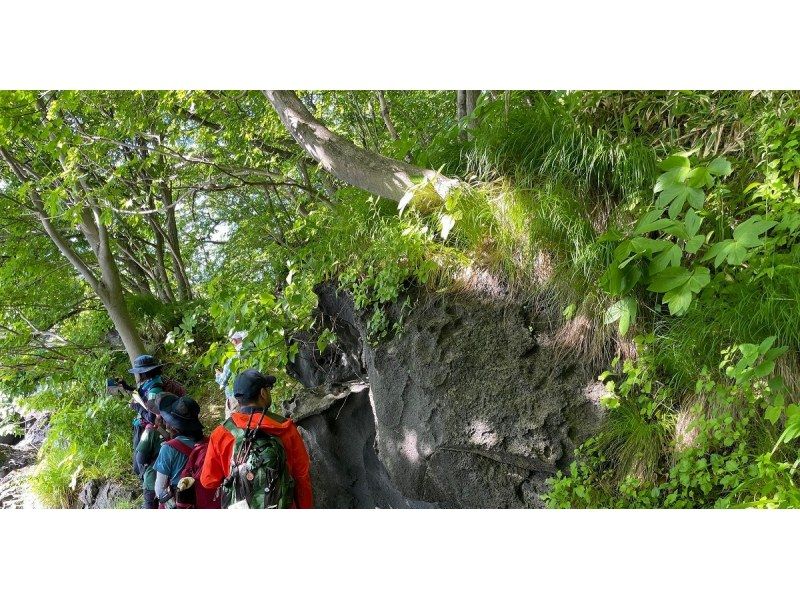 【北海道・伊達市】有珠散歩「なぜ縄文時代から住み続けられているのか」の紹介画像