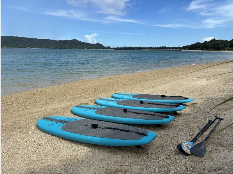 【奄美大島】【当日予約OK！】【SUP】【シーカヤック】【120分】海からしか行けないコウトリ浜へSUPで上陸？！？！☆撮影データプレゼントの紹介画像