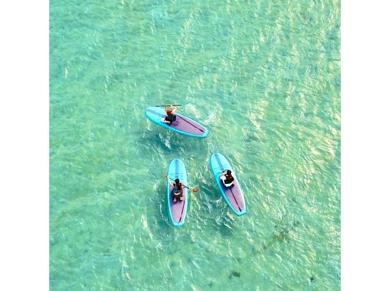 【奄美大島】【当日予約OK！】【SUP】【シーカヤック】【120分】海からしか行けないコウトリ浜へSUPで上陸？！？！☆撮影データプレゼントの紹介画像