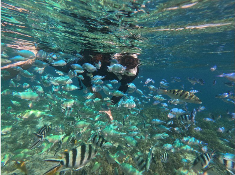 【沖縄・うるま市・浜比嘉島】ちょい遊び＋無人島シュノーケルプラン！の紹介画像