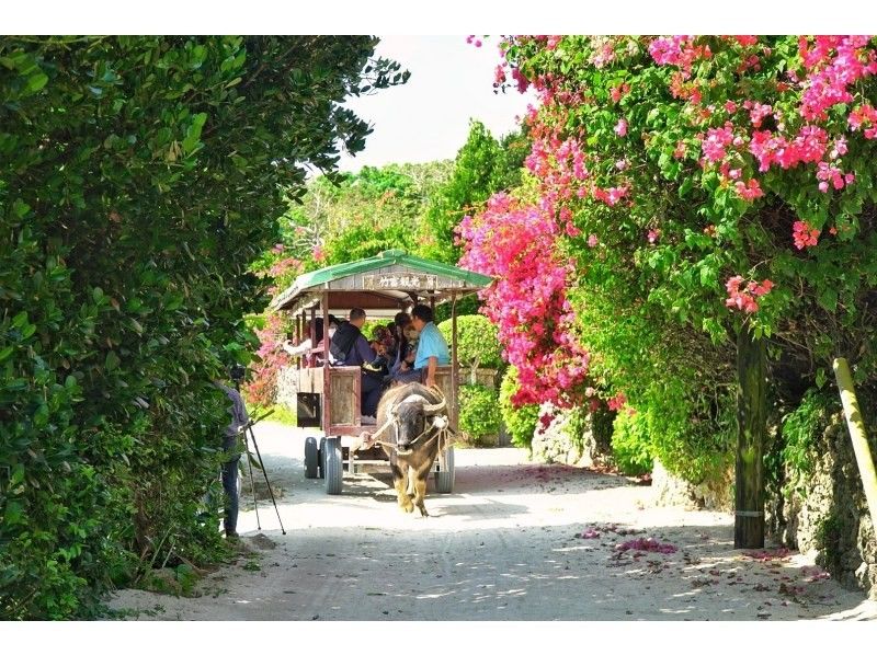 【沖縄・石垣島or竹富島発】1組貸切フォトツアー！沖縄の原風景が残る「竹富島」でオリジナルフォト♪【♪穴場ポイント満載プラン♪】の紹介画像
