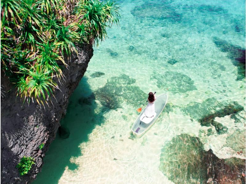 【石垣島/竹富島】当日予約OK！絶景クリアSUPクルーズ☆ 定番の竹富島観光チケットが貰える当店だけのお得なセットプラン！（写真データ無料）の紹介画像