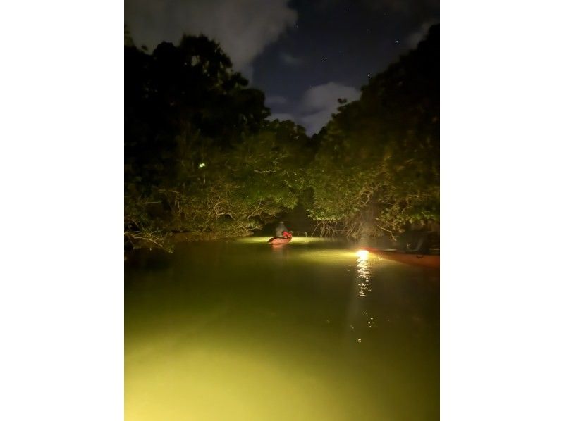 [Okinawa, Miyakojima] Extremely rare!! Enjoy Miyakojima at night ☆ Night kayak mangrove exploration under the stars ☆の紹介画像