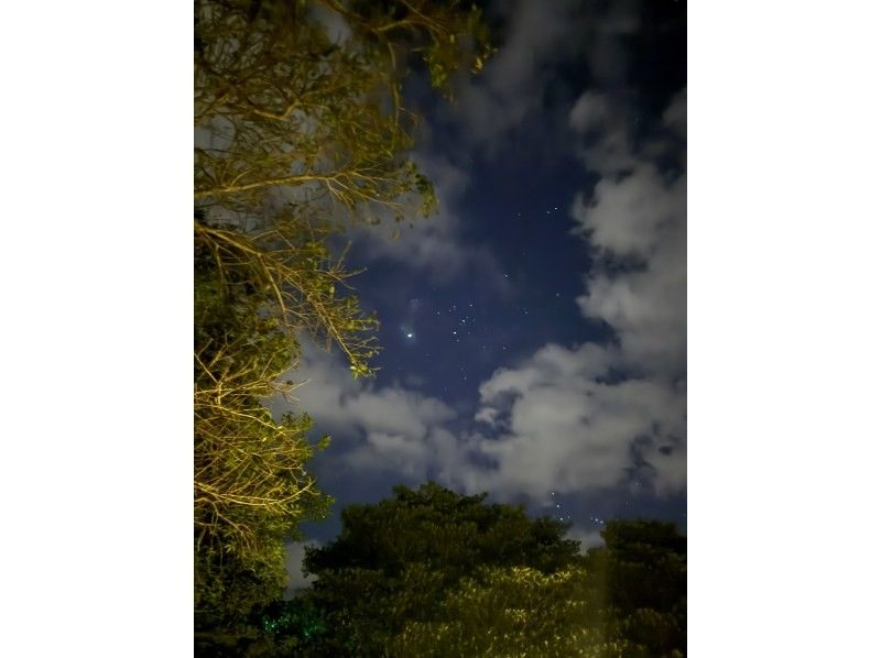 [Okinawa, Miyakojima] Extremely rare!! Enjoy Miyakojima at night ☆ Night kayak mangrove exploration under the stars ☆の紹介画像