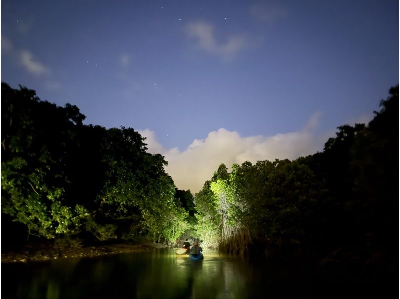 【沖縄・宮古島】超希少！！夜の宮古島を満喫☆星空の下でナイトカヤックマングローブ探検☆彡の紹介画像