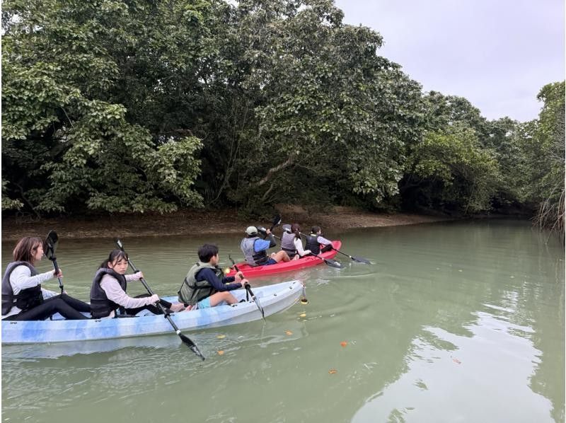 [冲绳/宫古岛]超级罕见！ ！享受宫古岛的夜晚☆星空下的夜间皮划艇红树林探索☆彡の紹介画像