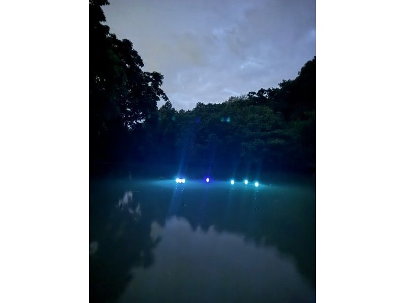 [Okinawa, Miyakojima] Extremely rare!! Enjoy Miyakojima at night ☆ Night kayak mangrove exploration under the stars ☆の紹介画像