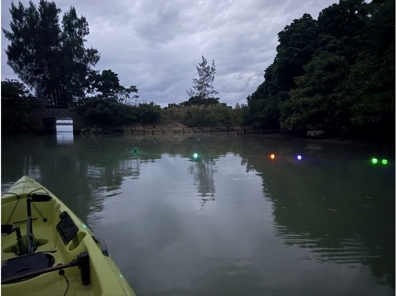 [沖繩/宮古島]超罕見！ ！享受宮古島的夜晚☆星空下的夜間獨木舟紅樹林探索☆彡の紹介画像