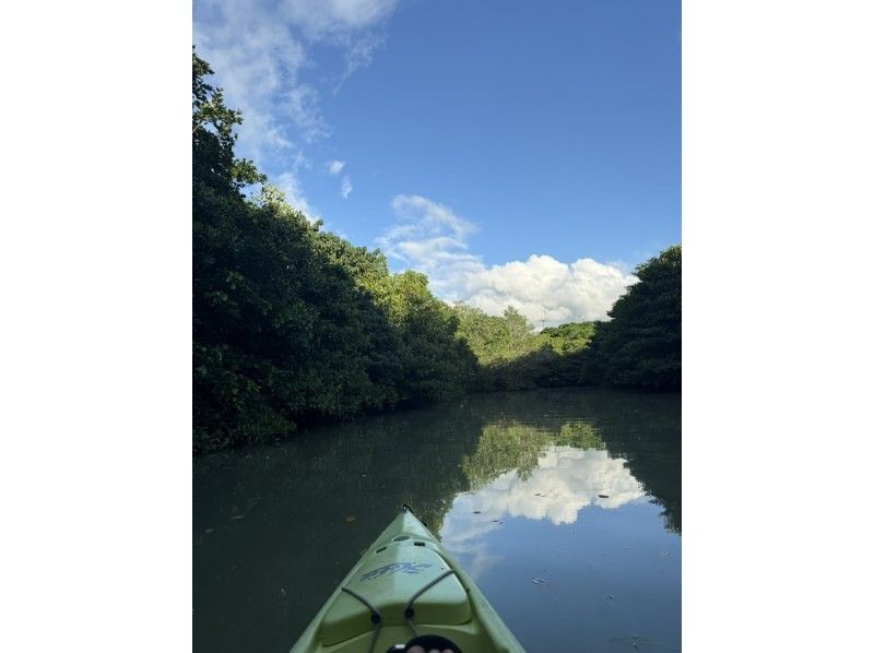 [Okinawa, Miyakojima] Extremely rare!! Enjoy Miyakojima at night ☆ Night kayak mangrove exploration under the stars ☆の紹介画像