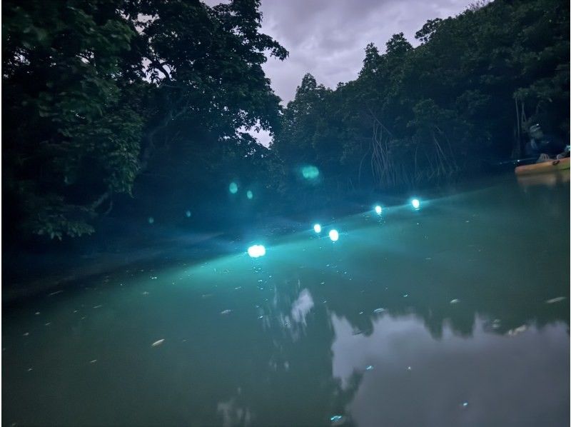 [沖繩/宮古島]超罕見！ ！享受宮古島的夜晚☆星空下的夜間獨木舟紅樹林探索☆彡の紹介画像