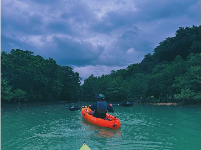 [Unexplored tropical forest bathing] Free drone photography! Mangrove jungle kayak tour! Tour time is 1 hour! Small group size for peace of mind! Beginners welcome! Photography included during the tour!の紹介画像