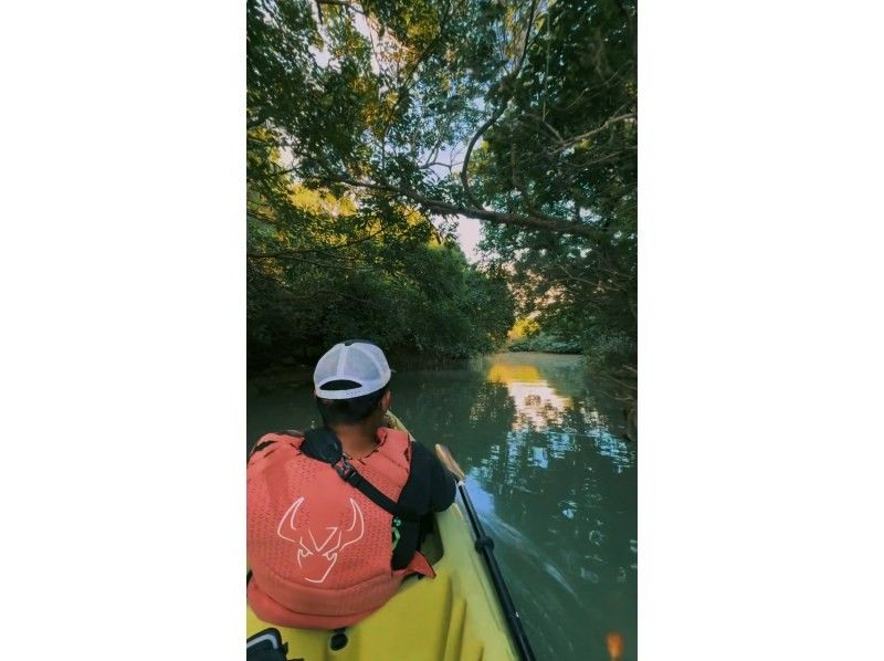 [Unexplored tropical forest bathing] Free drone photography! Mangrove jungle kayak tour! Tour time is 1 hour! Small group size for peace of mind! Beginners welcome! Photography included during the tour!の紹介画像