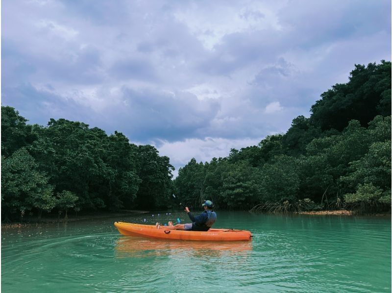 [Unexplored tropical forest bathing] Mangrove jungle kayak tour! Tour time is 1 hour! Small group size for peace of mind! Beginners welcome! Photos taken during the tour! Free data presentationの紹介画像