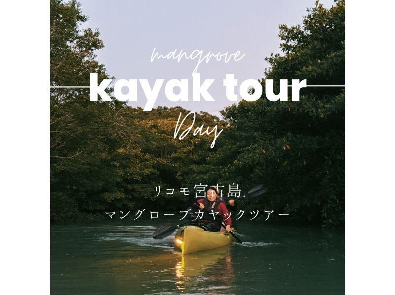 [Unexplored tropical forest bathing] Free drone photography! Mangrove jungle kayak tour! Tour time is 1 hour! Small group size for peace of mind! Beginners welcome! Photography included during the tour!の紹介画像