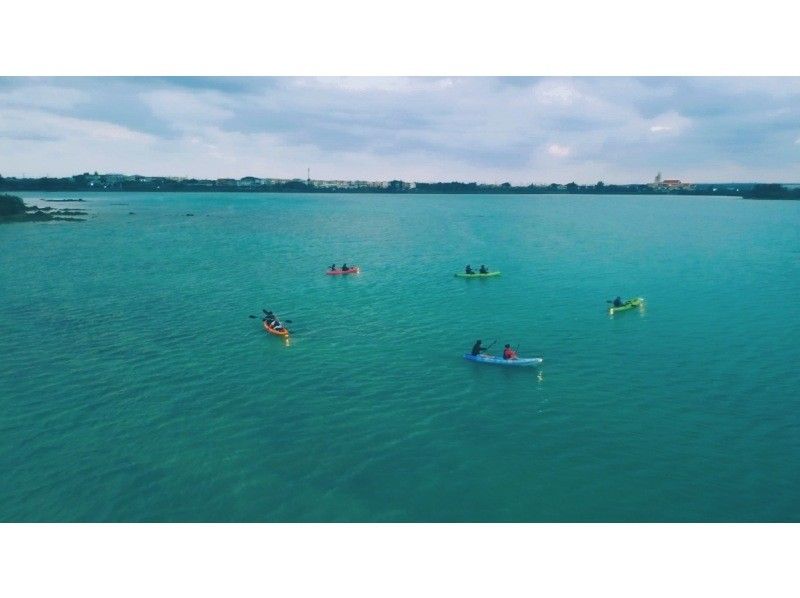 [Unexplored tropical forest bathing] Free drone photography! Mangrove jungle kayak tour! Tour time is 1 hour! Small group size for peace of mind! Beginners welcome! Photography included during the tour!の紹介画像