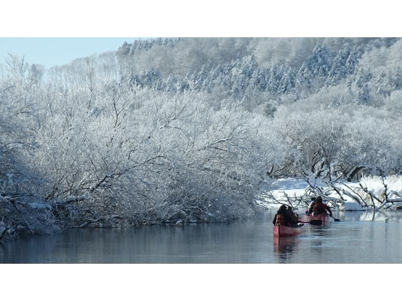 【北海道・釧路湿原】冬の釧路湿原へ、ようこそ!!!  『冬の釧路湿原ネイチャーカヌー』の紹介画像