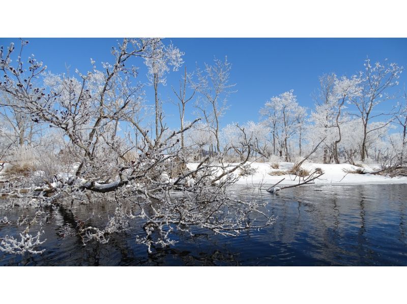 【北海道・釧路湿原】冬の釧路湿原へ、ようこそ!!!  『冬の釧路湿原ネイチャーカヌー』の紹介画像