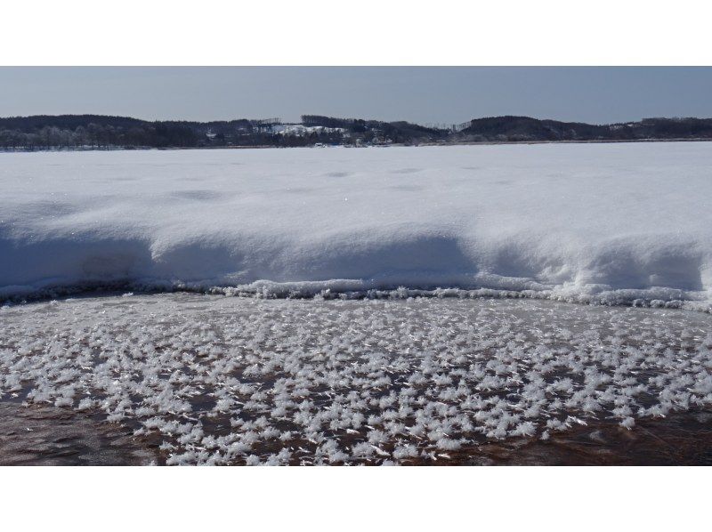 【北海道・釧路湿原】冬の釧路湿原へ、ようこそ!!!  『冬の釧路湿原ネイチャーカヌー』の紹介画像