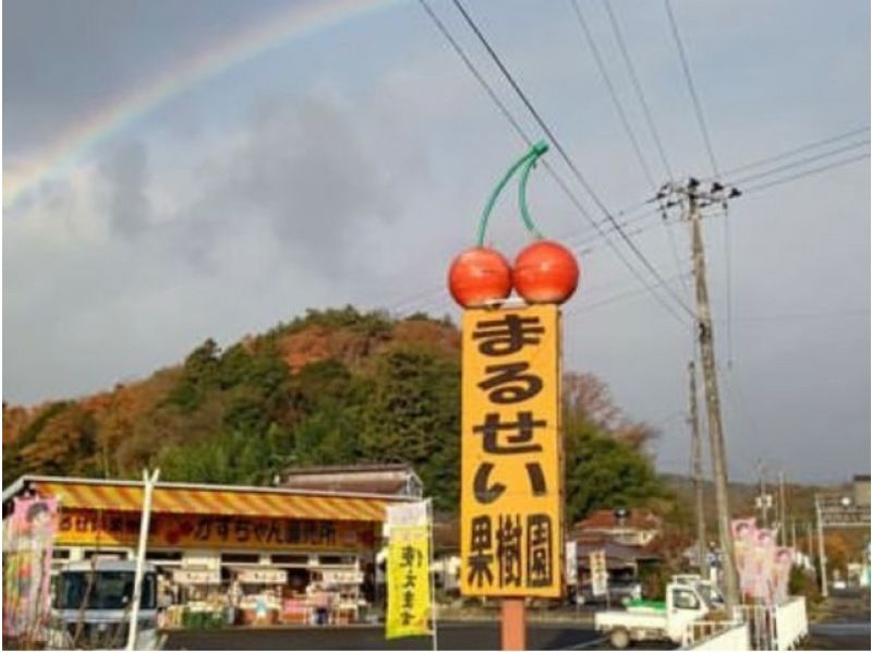 [Fukushima Prefecture, Fukushima City] [Apple picking 30 minutes all-you-can-eat *Fukushima Fruit Line] A plan recommended for families, couples and womenの紹介画像