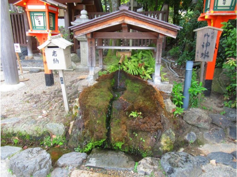 Find Your Peace in Kyoto: Temple Yoga and Sacred Spring Waterの紹介画像