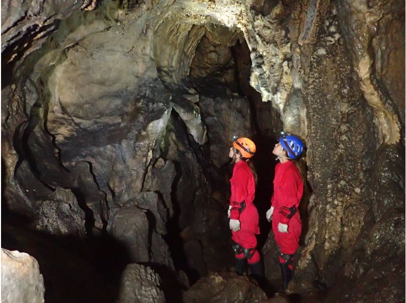 【奈良・吉野】Cave Adventures: Discover the Mystical Paths of Shugenの紹介画像