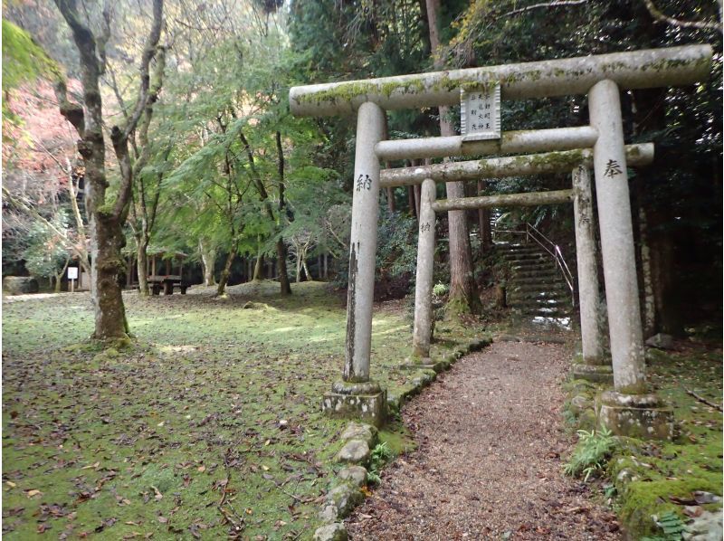 【奈良・吉野】Cave Adventures: Discover the Mystical Paths of Shugenの紹介画像