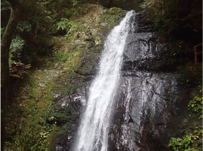 【奈良・吉野】Cave Adventures: Discover the Mystical Paths of Shugenの紹介画像