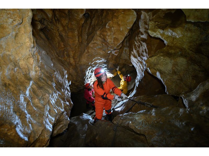 【奈良・吉野】Cave Adventures: Discover the Mystical Paths of Shugenの紹介画像