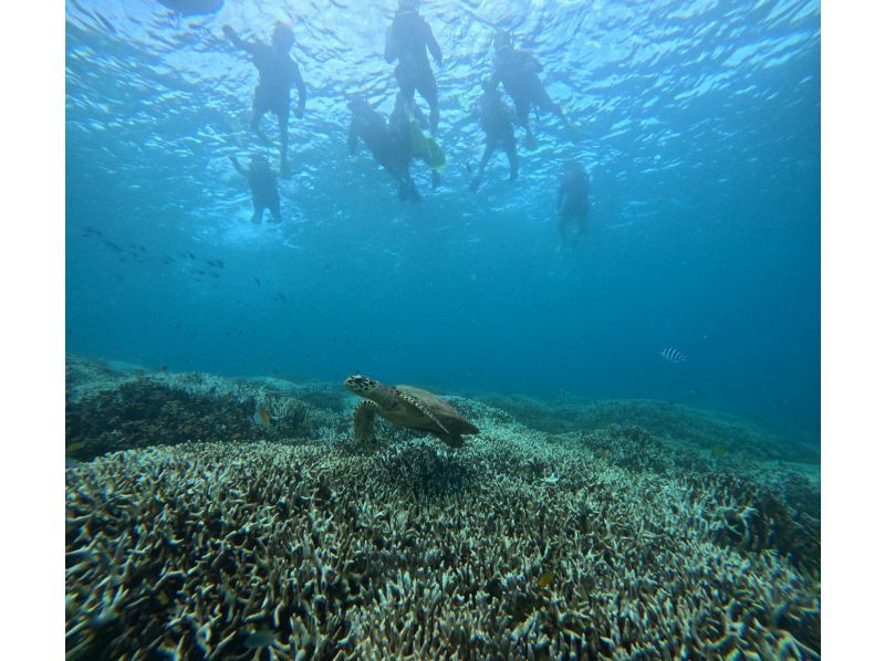 [Okinawa, Sesoko Island] Free 4K camera (GoPro) photo shoot♪ Held in the ocean where sea turtles live! Snorkeling on a banana boat only available in winterの紹介画像