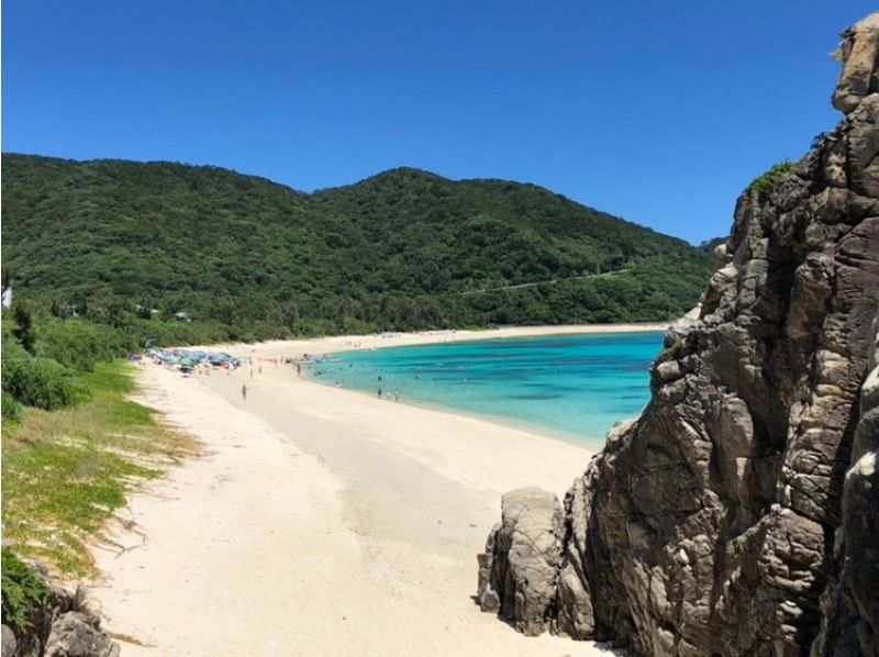 【2024/12/21～2025/3/31限定】渡嘉敷島グラスボートで行く無人島ツアー＆ホエールウォッチングツアーの紹介画像