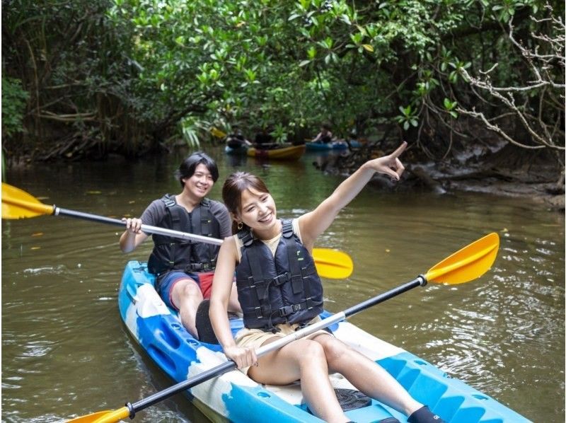 [Iriomote Island/Afternoon] A spectacular set plan of mangrove forests and starry sky sanctuaries! Mangrove SUP/Canoe & Jungle Night Tour [Free photo data]の紹介画像