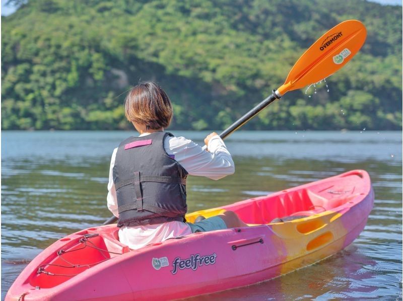 [Iriomote Island/Afternoon] A spectacular set plan of mangrove forests and starry sky sanctuaries! Mangrove SUP/Canoe & Jungle Night Tour [Free photo data]の紹介画像