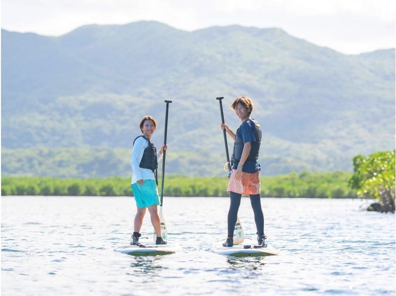 [Iriomote Island/Afternoon] A spectacular set plan of mangrove forests and starry sky sanctuaries! Mangrove SUP/Canoe & Jungle Night Tour [Free photo data]の紹介画像