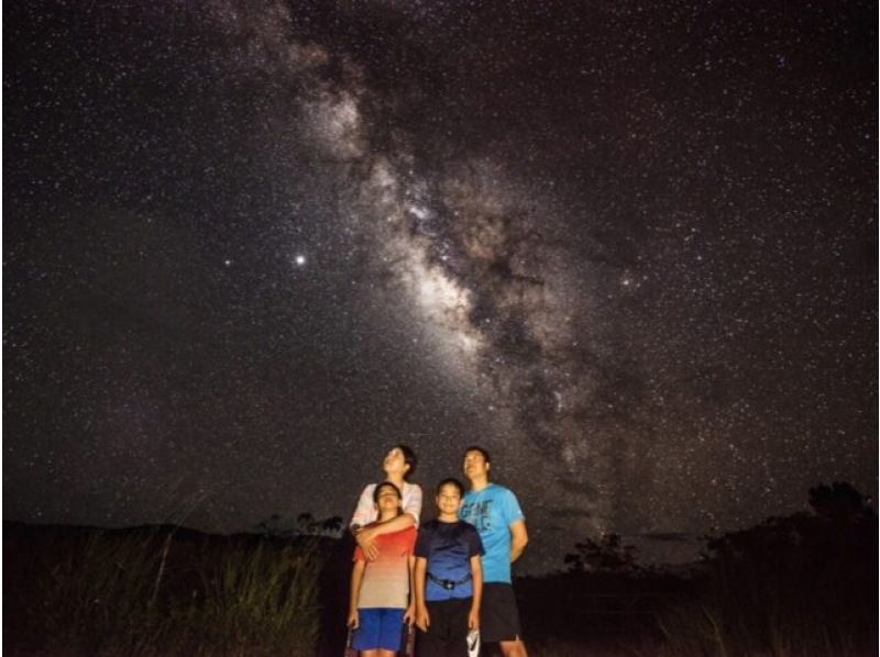 [Iriomote Island/Afternoon] A spectacular set plan of mangrove forests and starry sky sanctuaries! Mangrove SUP/Canoe & Jungle Night Tour [Free photo data]の紹介画像