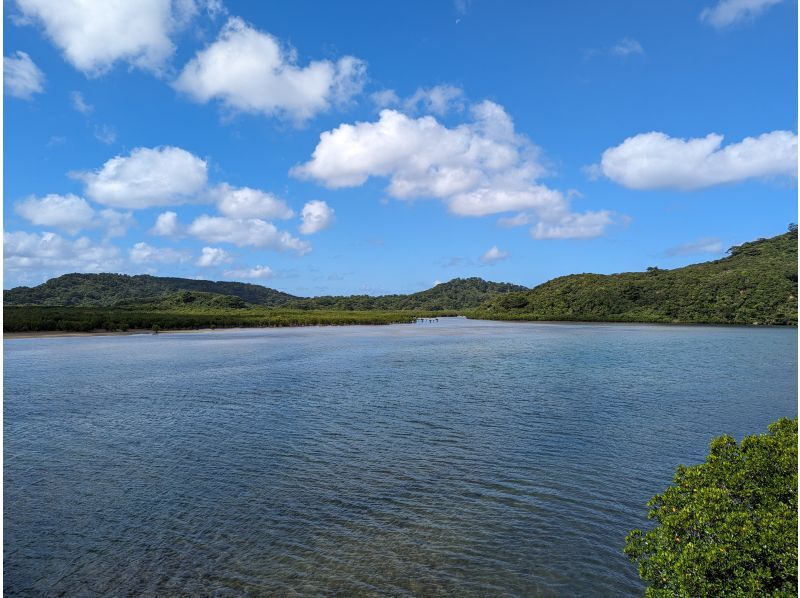 [Iriomote Island/Afternoon] A spectacular set plan of mangrove forests and starry sky sanctuaries! Mangrove SUP/Canoe & Jungle Night Tour [Free photo data]の紹介画像