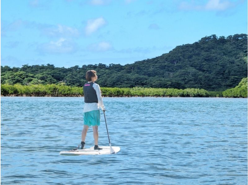 [Iriomote Island/Afternoon] A spectacular set plan of mangrove forests and starry sky sanctuaries! Mangrove SUP/Canoe & Jungle Night Tour [Free photo data]の紹介画像