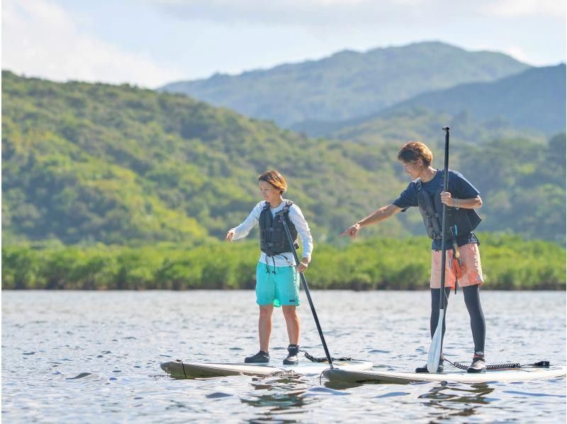 [Iriomote Island/Afternoon] A spectacular set plan of mangrove forests and starry sky sanctuaries! Mangrove SUP/Canoe & Jungle Night Tour [Free photo data]の紹介画像