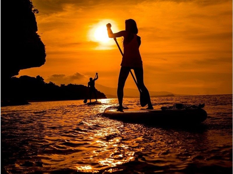 [Iriomote Island/Afternoon] Enjoy mangrove cruising and sunset on two rivers! Mangrove & Sunset SUPor Canoeの紹介画像