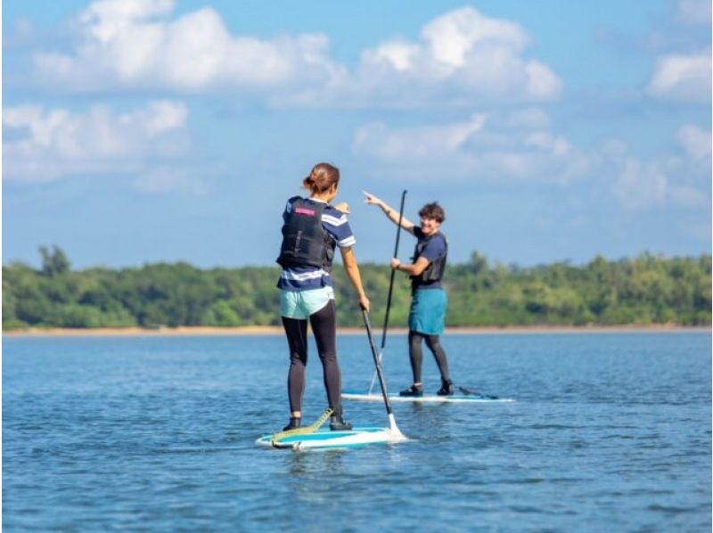 [Iriomote Island/Afternoon] Enjoy mangrove cruising and sunset on two rivers! Mangrove & Sunset SUPor Canoeの紹介画像