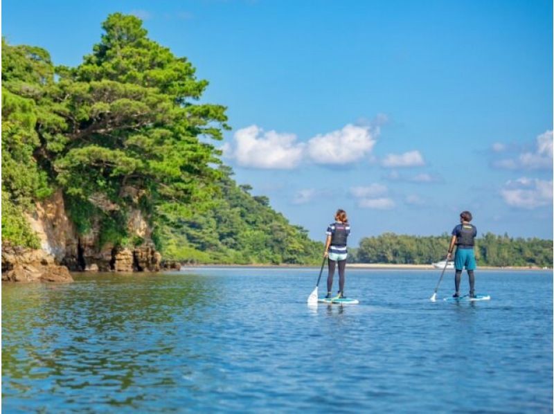 [Iriomote Island/Afternoon] Enjoy mangrove cruising and sunset on two rivers! Mangrove & Sunset SUPor Canoeの紹介画像