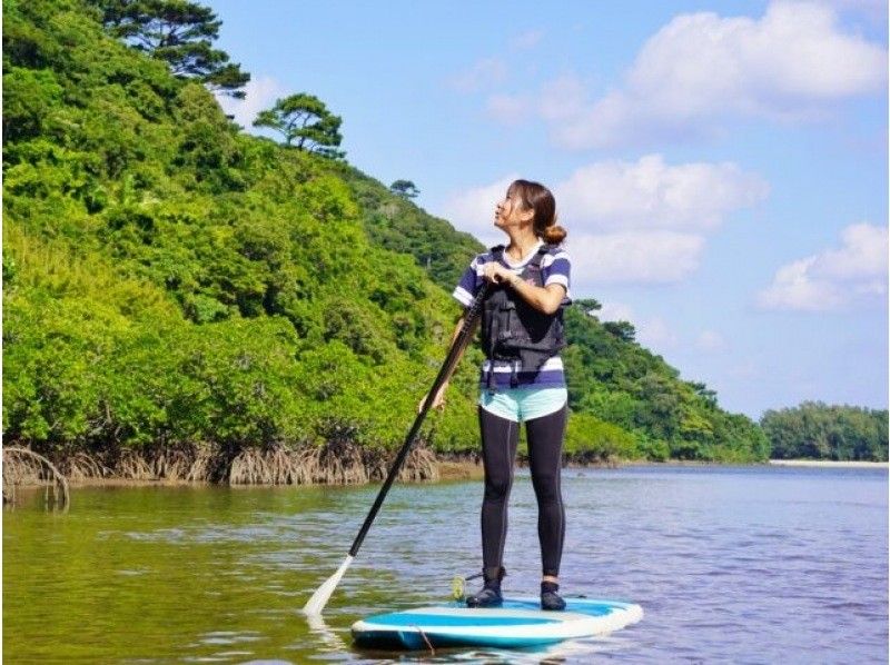 [Iriomote Island/Afternoon] Enjoy mangrove cruising and sunset on two rivers! Mangrove & Sunset SUPor Canoeの紹介画像