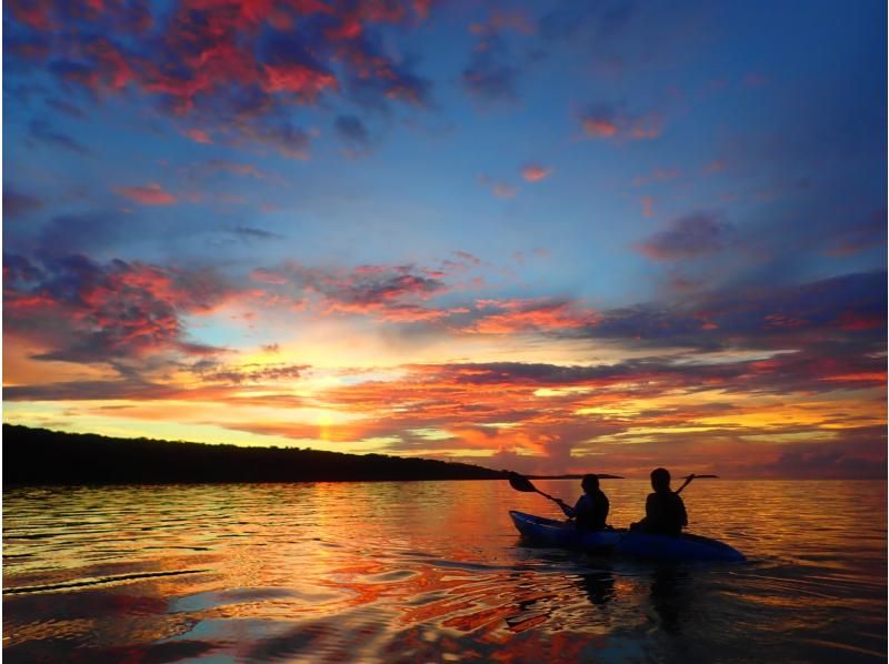 [Iriomote Island/Afternoon] Enjoy mangrove cruising and sunset on two rivers! Mangrove & Sunset SUPor Canoeの紹介画像