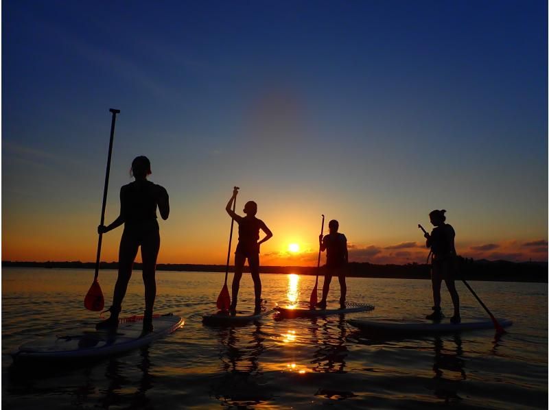 [Iriomote Island/Afternoon] Enjoy mangrove cruising and sunset on two rivers! Mangrove & Sunset SUPor Canoeの紹介画像