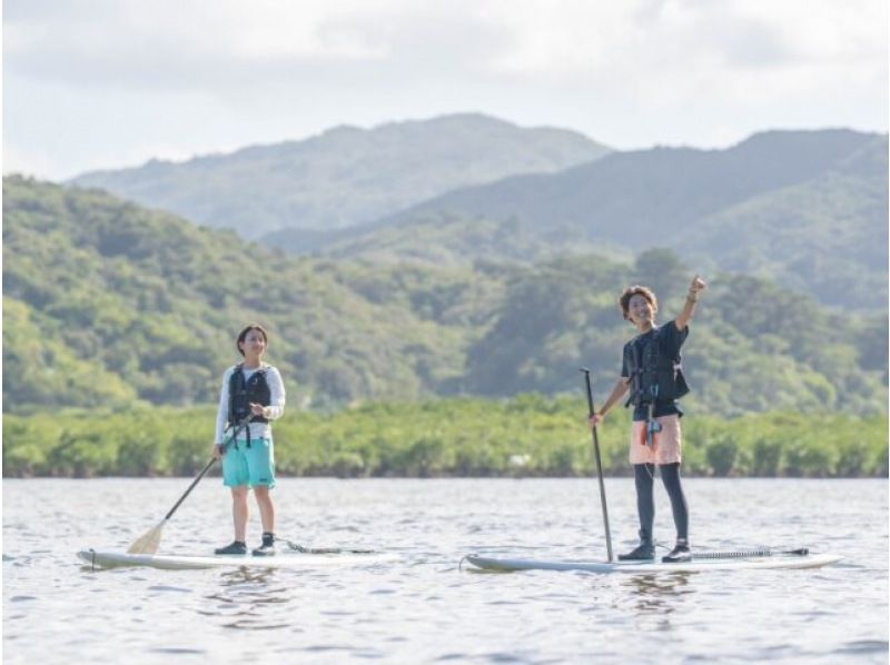 [Iriomote Island/Afternoon] Enjoy mangrove cruising and sunset on two rivers! Mangrove & Sunset SUPor Canoeの紹介画像