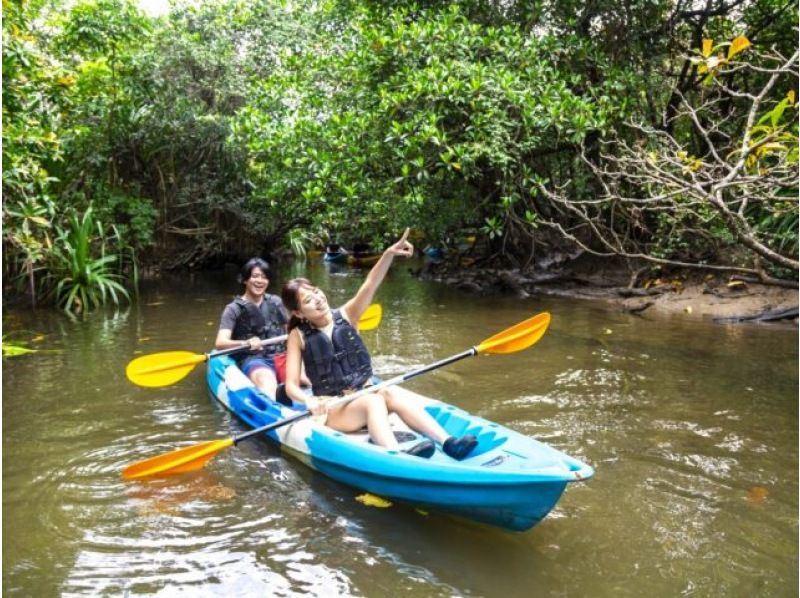 [Iriomote Island/Afternoon] Enjoy mangrove cruising and sunset on two rivers! Mangrove & Sunset SUPor Canoeの紹介画像