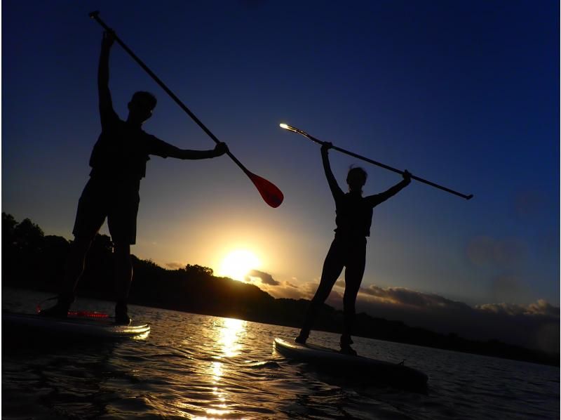 [Iriomote Island/Early Morning] Enjoy the classic Iriomote Island sights from early in the morning! Sunrise & Mangrove SUP or Canoeの紹介画像